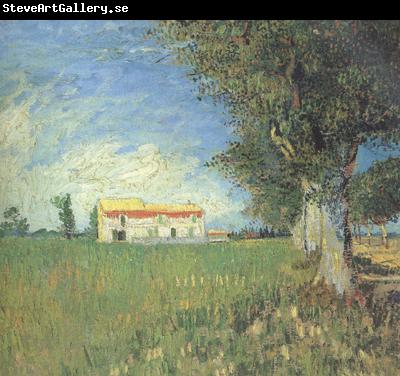 Vincent Van Gogh Farmhous in a Wheat Field (nn04)